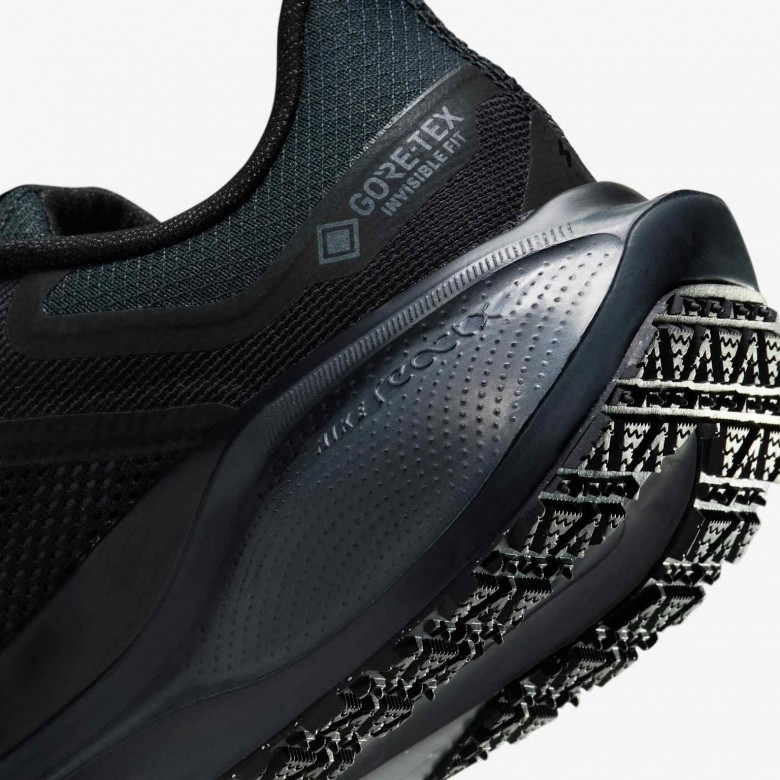 Nike Pegasus 41 GORE-TEX Nike Pegasus 41 GORE-TEX