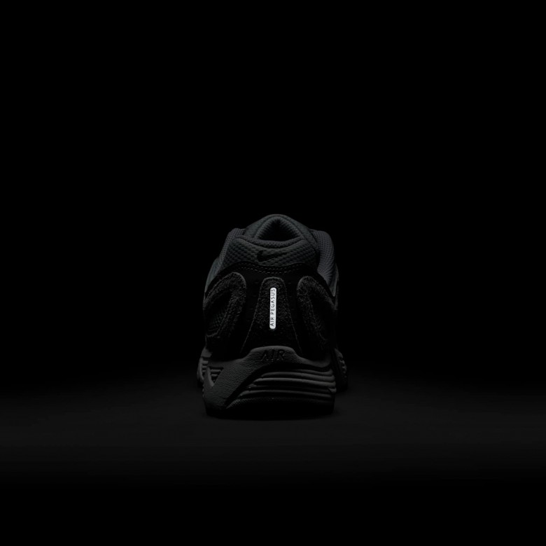 Nike Air Pegasus 2005 Nike Air Pegasus 2005