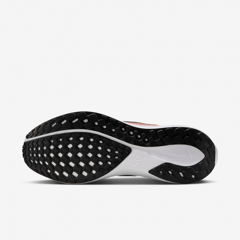 Texas Pegasus 41 Texas Pegasus 41