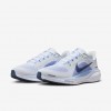 Nike Pegasus 41