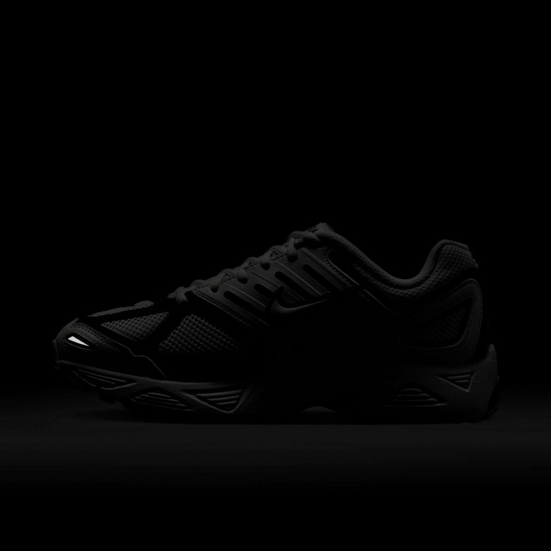 Nike Air Pegasus 2005 Nike Air Pegasus 2005