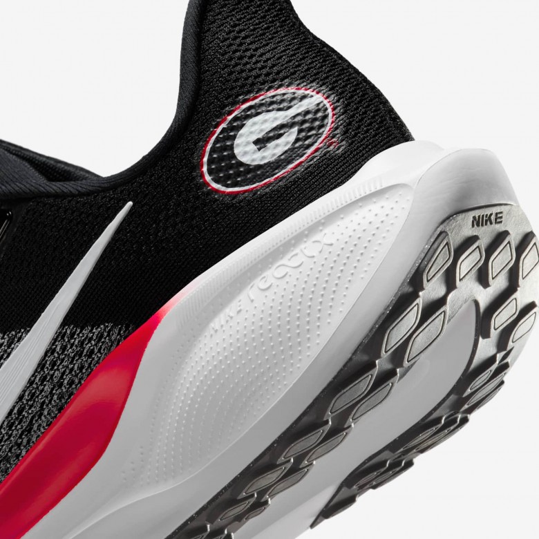 Georgia Pegasus 41 Georgia Pegasus 41