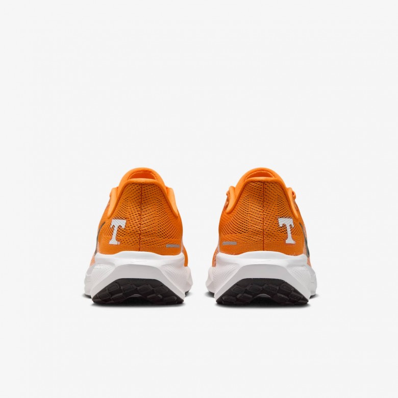 Tennessee Pegasus 41 Tennessee Pegasus 41