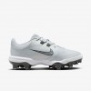 Nike Hyperdiamond 4 Pro MCS