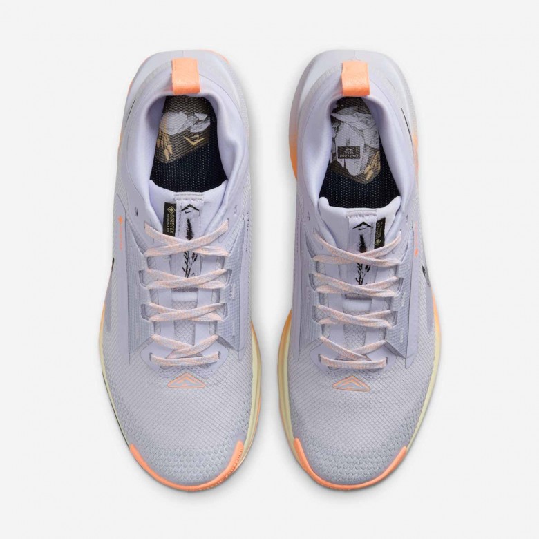 Nike Pegasus Trail 5 GORE-TEX Nike Pegasus Trail 5 GORE-TEX