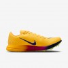 Nike Triple Jump Elite 3
