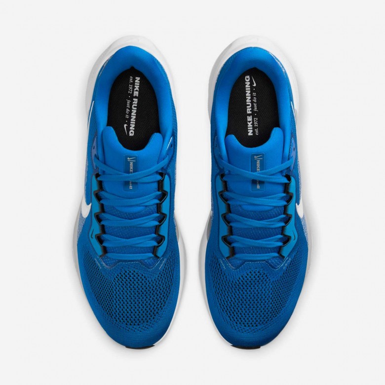 Detroit Lions Pegasus 41 Detroit Lions Pegasus 41