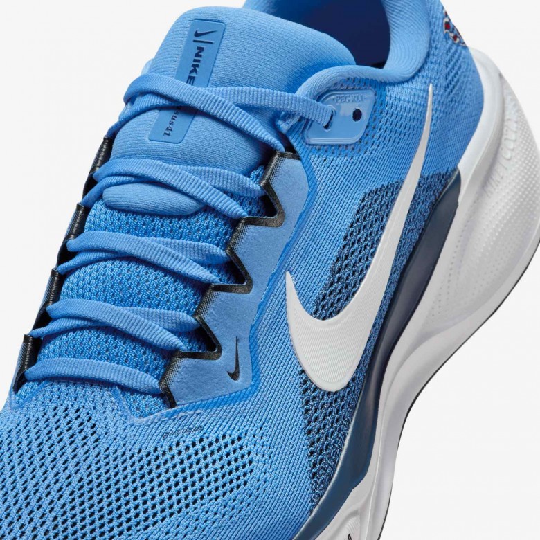 Tennessee Titans Pegasus 41 Tennessee Titans Pegasus 41