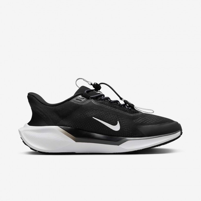 Nike Pegasus EasyOn Nike Pegasus EasyOn