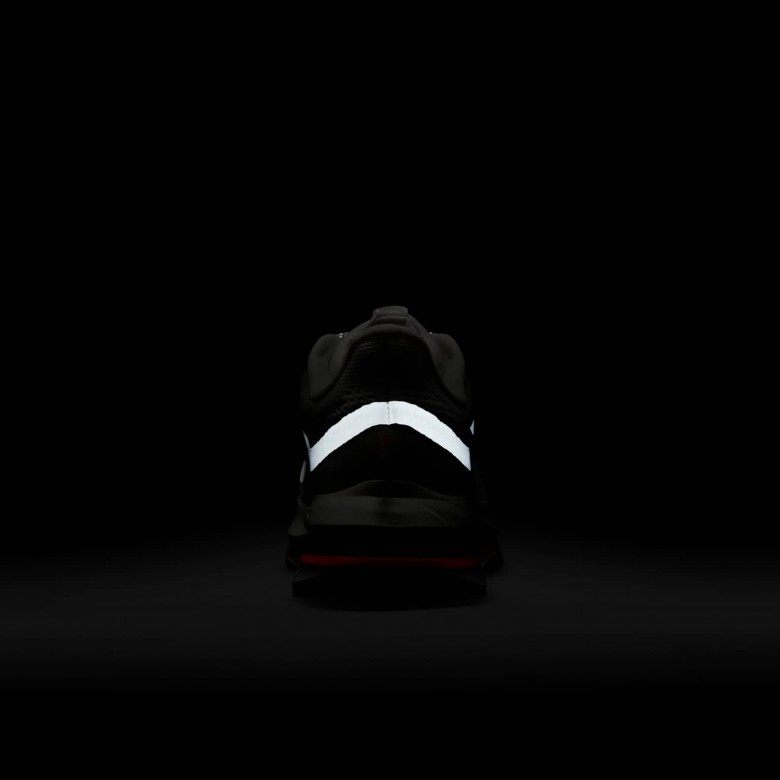 Nike Pegasus Premium Nike Pegasus Premium