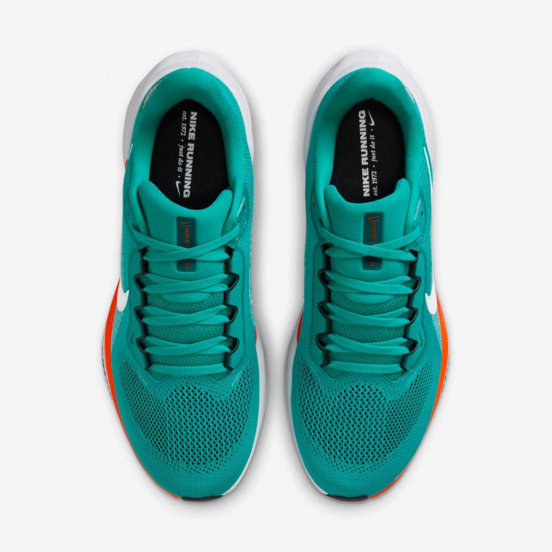 Miami Dolphins Pegasus 41 Miami Dolphins Pegasus 41