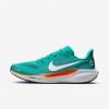 Miami Dolphins Pegasus 41