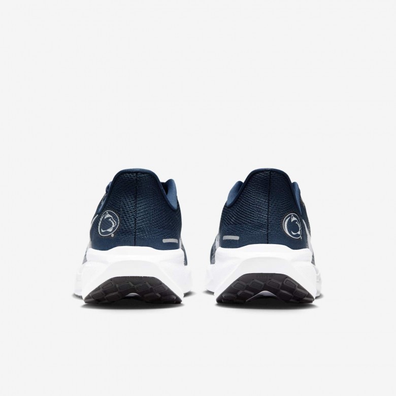 Penn State Pegasus 41 Penn State Pegasus 41