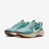 Nike Pegasus Trail 5