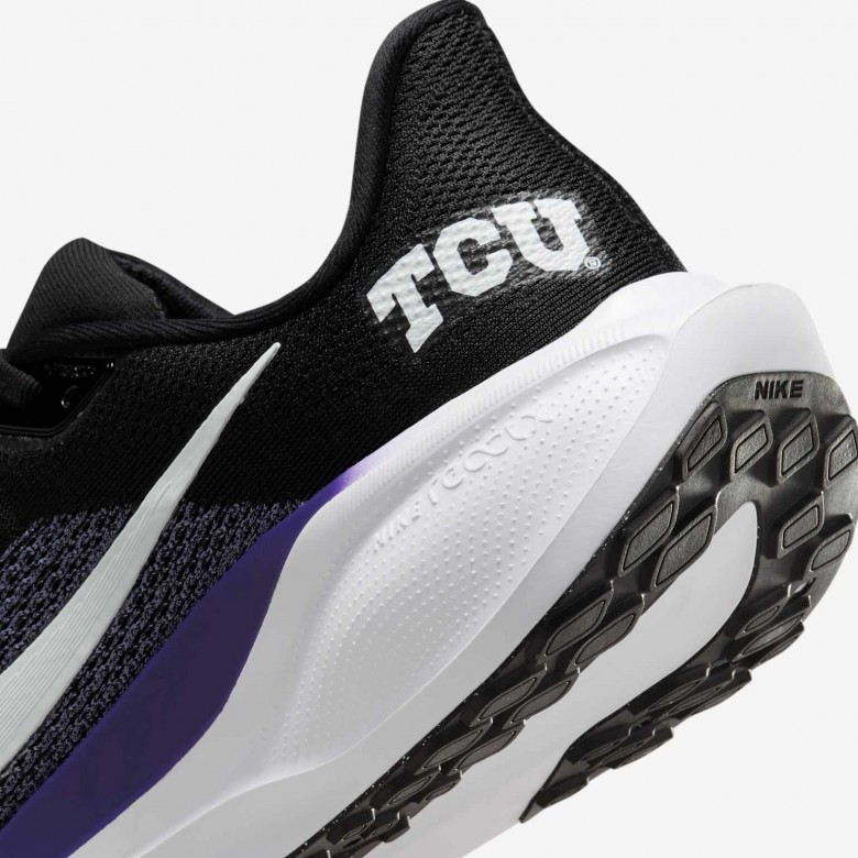 TCU Pegasus 41 TCU Pegasus 41