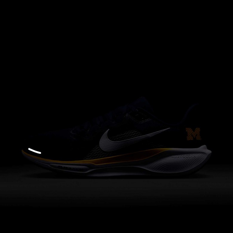 Michigan Pegasus 41 Michigan Pegasus 41