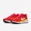Kansas City Chiefs Pegasus 41