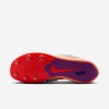 Nike Zoom Rival Jump