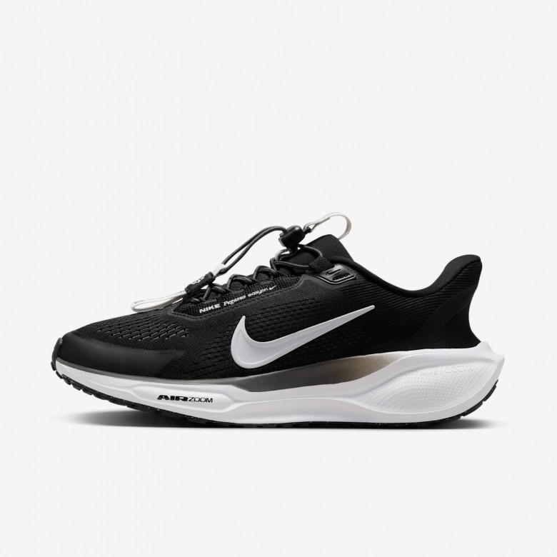 Nike Pegasus EasyOn Nike Pegasus EasyOn