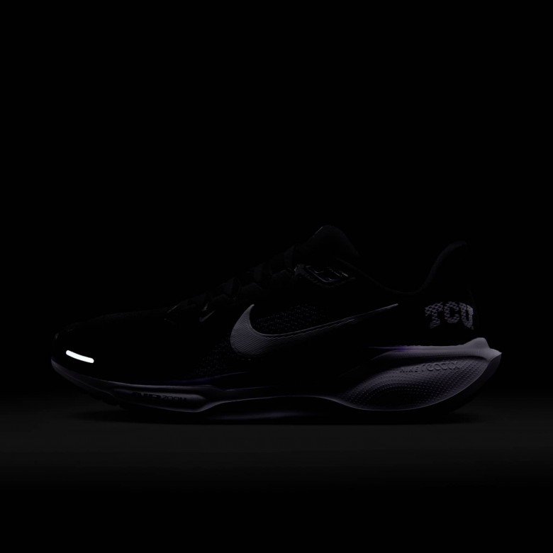 TCU Pegasus 41 TCU Pegasus 41