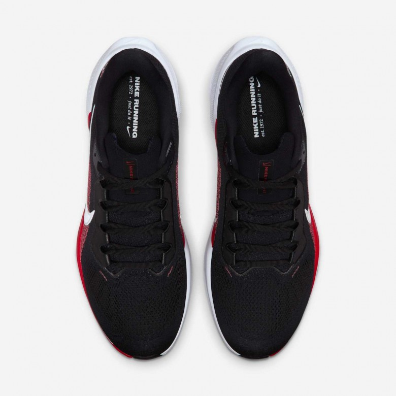 Houston Texans Pegasus 41 Houston Texans Pegasus 41