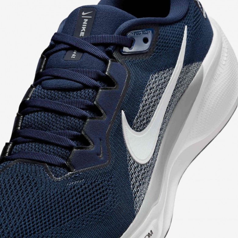 Dallas Cowboys Pegasus 41 Dallas Cowboys Pegasus 41