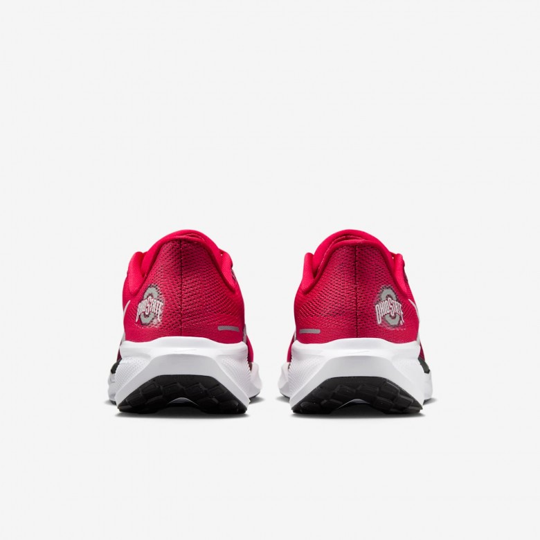 Ohio State Pegasus 41 Ohio State Pegasus 41